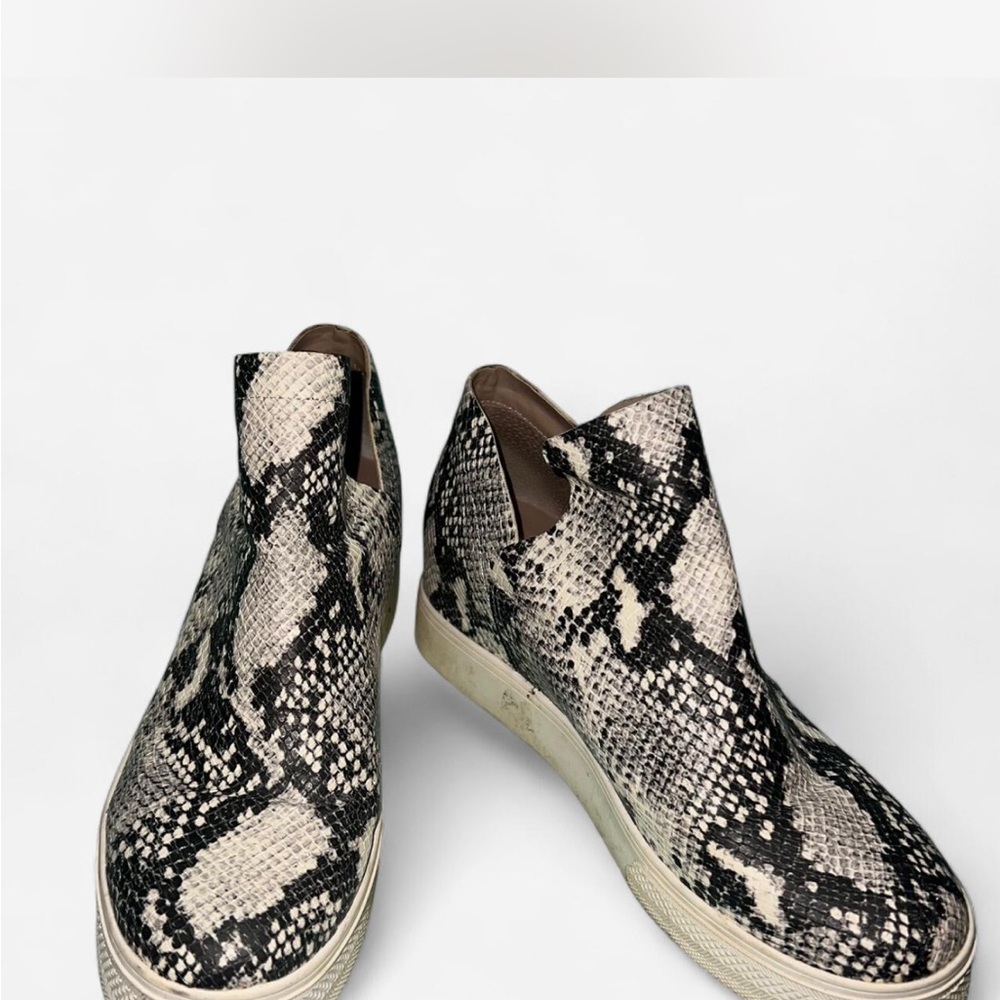 Steve Madden Black, White, and very dark green Sneakers with Snakeskin Pattern